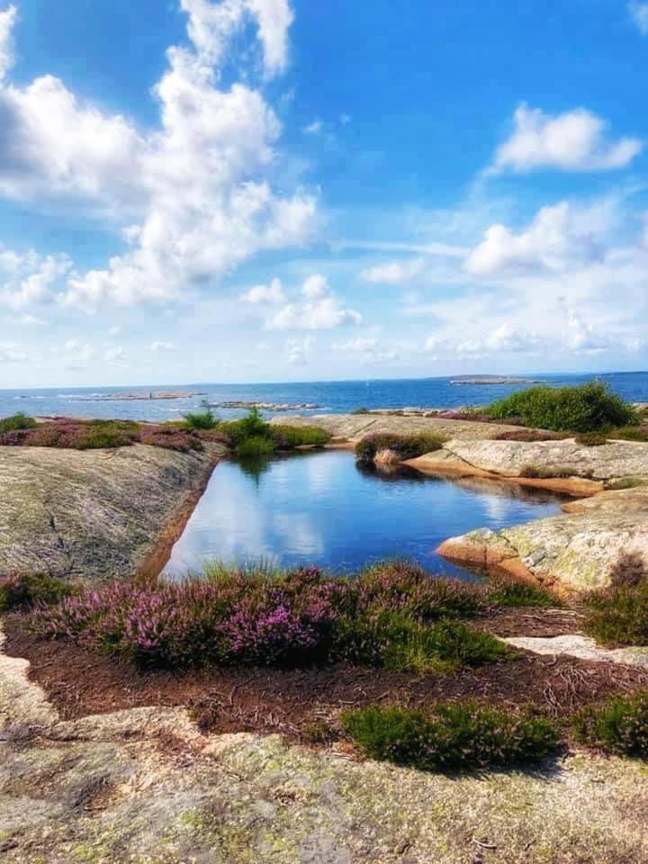 Bestemors Hus - Med Kystnaer Beliggenhet Villa Fredrikstad Exterior foto