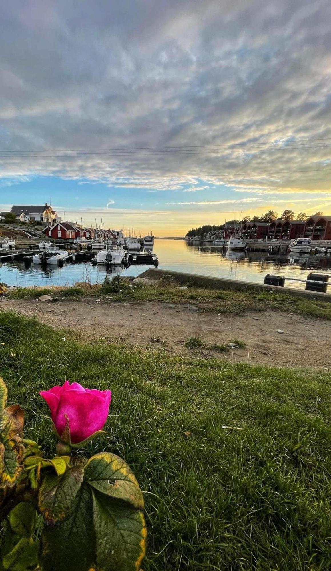 Bestemors Hus - Med Kystnaer Beliggenhet Villa Fredrikstad Exterior foto